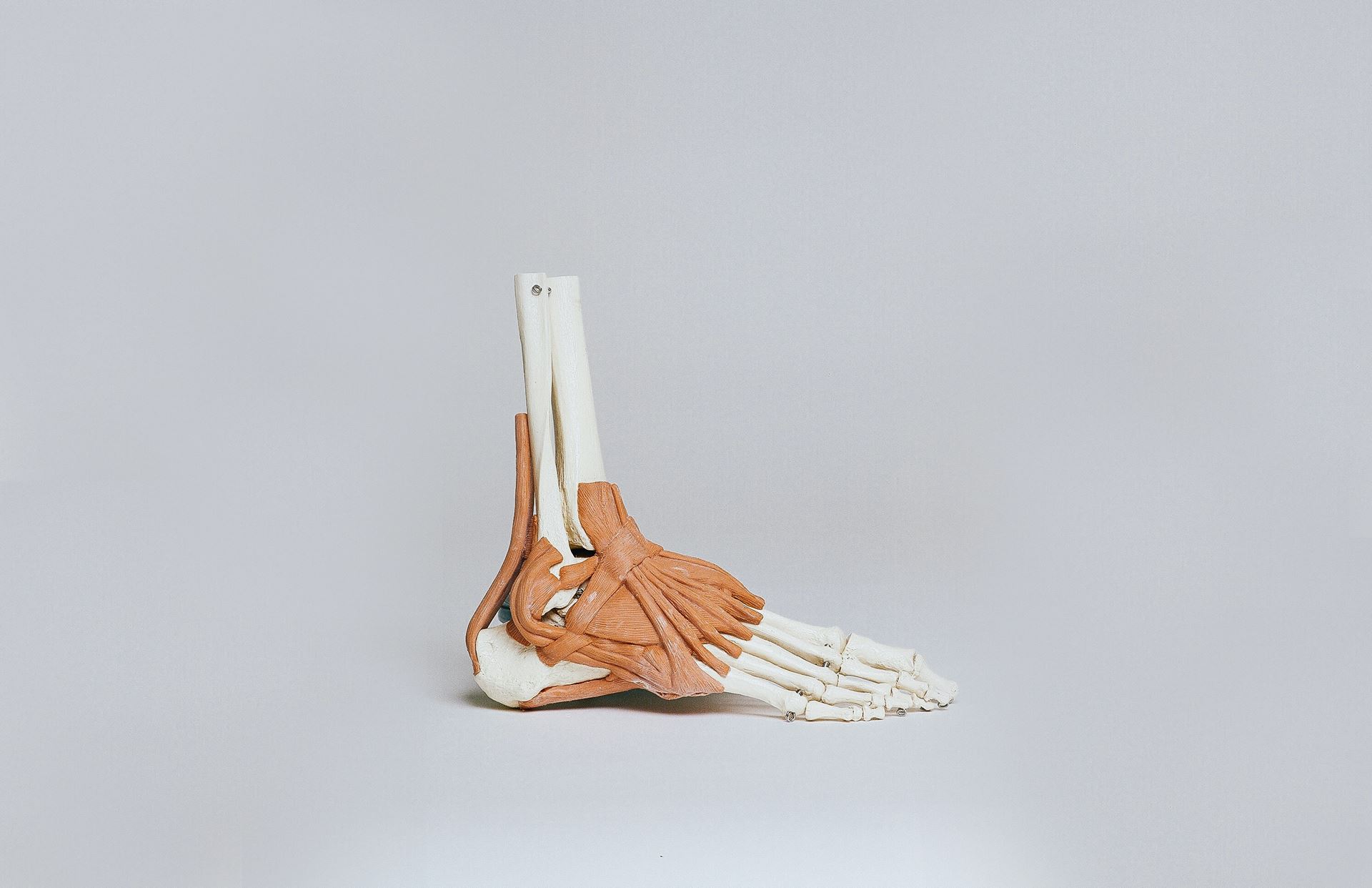 Ankle Pain